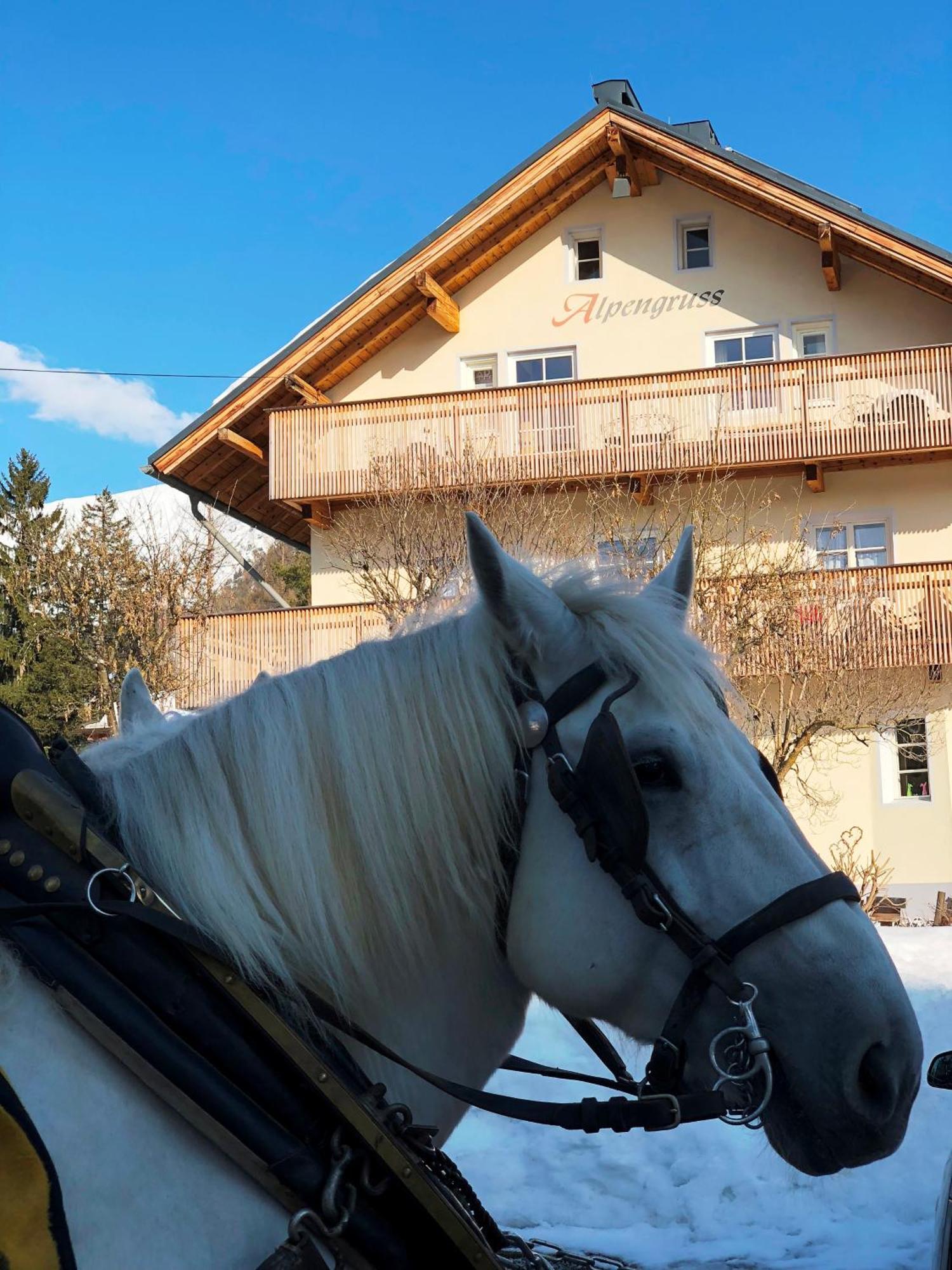 Hannas Alpengruss Apartment - Zimmer Seefeld in Tirol Eksteriør bilde